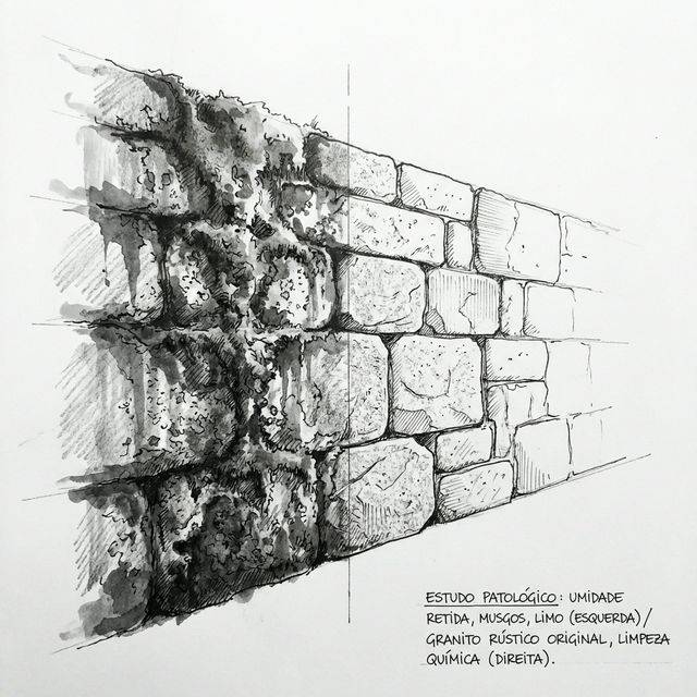 Pedra Moledo com Musgo Verde: O Que Fazer?